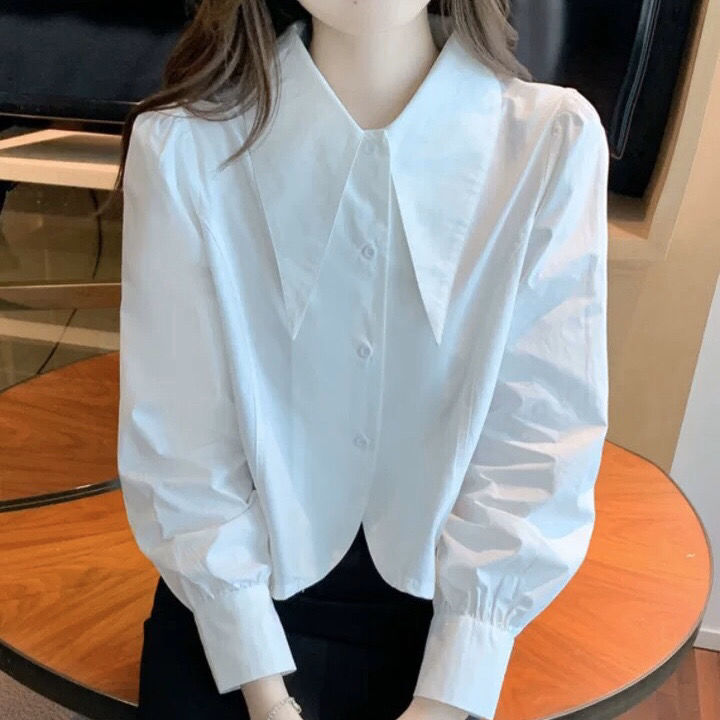 Blouses et chemises |  La chemise courte arrondie à poche